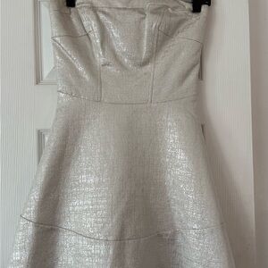 Express Shimmering Silver Strapless Dress